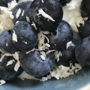 Kom met kokosyoghurt, blauwe bessen en kokos
